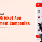 Fantasy Cricket App Development Company