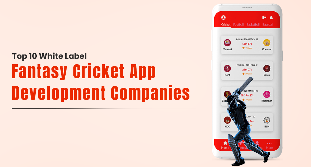 Fantasy Cricket App Development Company