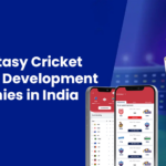 Fantasy Cricket Website Development Companies