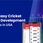 12 Fantasy Cricket Website Development Companies in USA