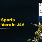 Top 10 Fantasy Sports API Providers in USA