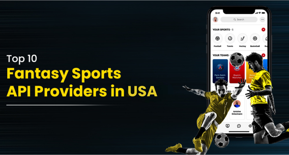 Top 10 Fantasy Sports API Providers in USA